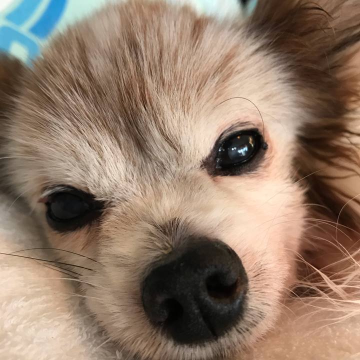 Bc72a469 c25b 43b9 b3ee 7ecd525bd3e5 1545985092311