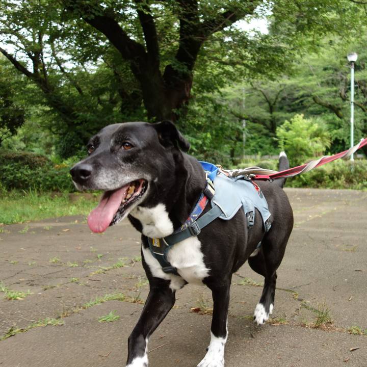 Bc72b34d 3e71 4d60 9c67 389eb459f9be 1719705338676