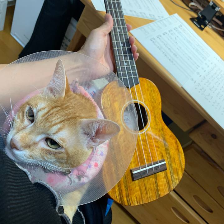 Bc730922 25d2 4259 ad9e d6915915efa1 1628931285907