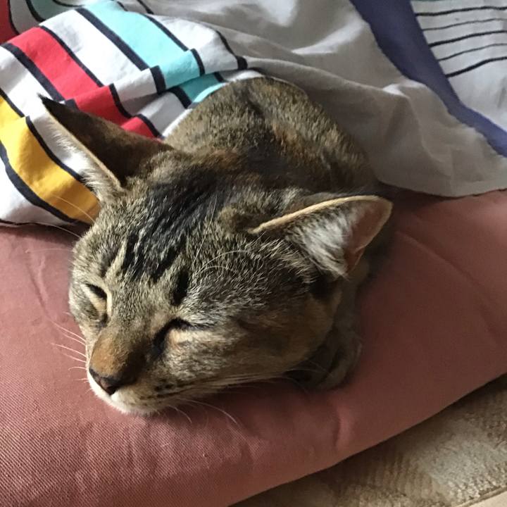 Bc7320a3 bbf8 4030 9167 ecd23ba6c20e 1584253663804