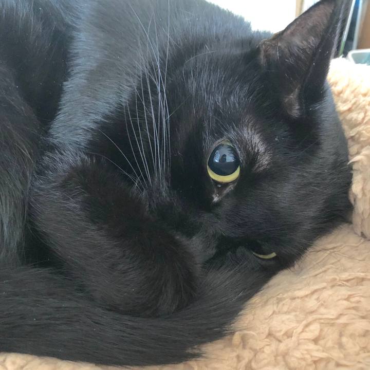 Bc73644d cb74 435b be77 af5117f353a1 1540694853339