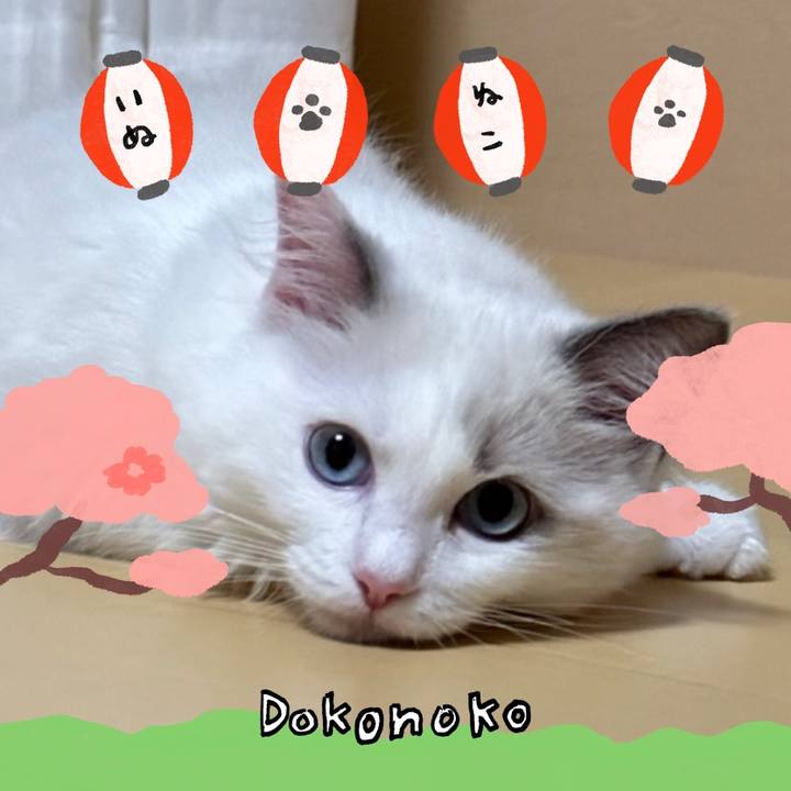 Bc73a8f7 a4f3 4197 827f 8e46bb6f00d6 1712282486045