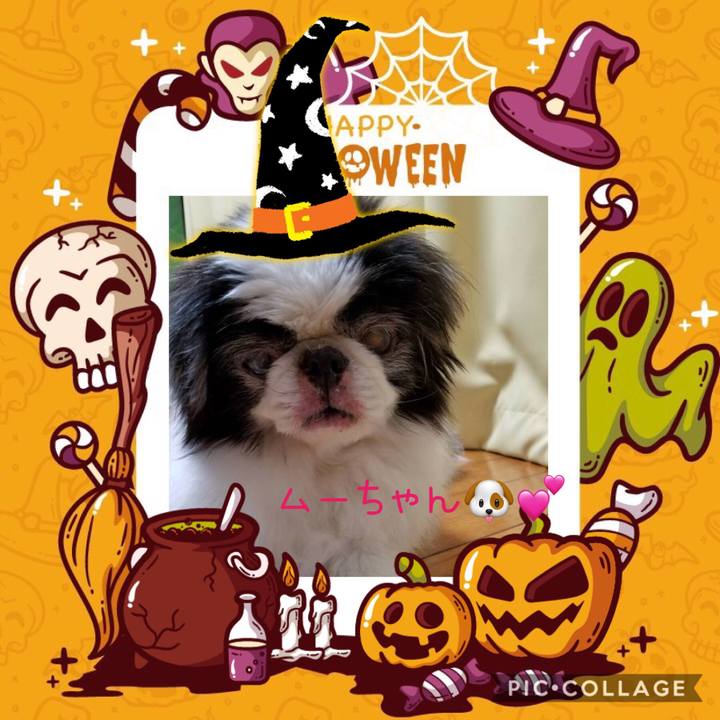 Bc73a956 7b4a 4187 bd71 ee1eb2d4dae0 1571925359330