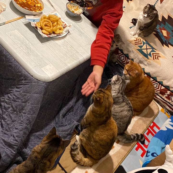 Bc73c020 0851 4d71 95ab 4fe738b25e13 1733265739390