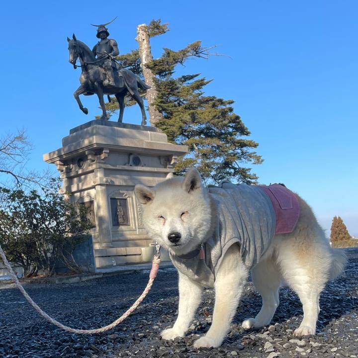 Bc73c6be 5320 4222 a663 a4940832e061 1735700583314