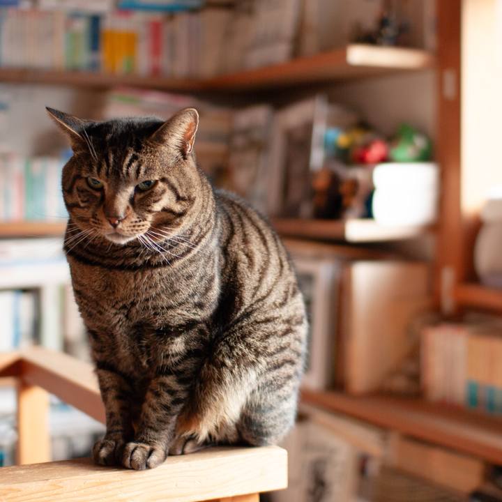 Bc73c739 905b 4ecf aa09 1a04909fb4ae 1737805424489