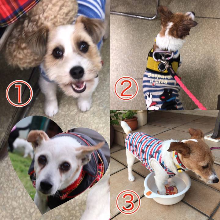 Bc73c82e eb70 406e b7ca fa04f7324313 1560996212750