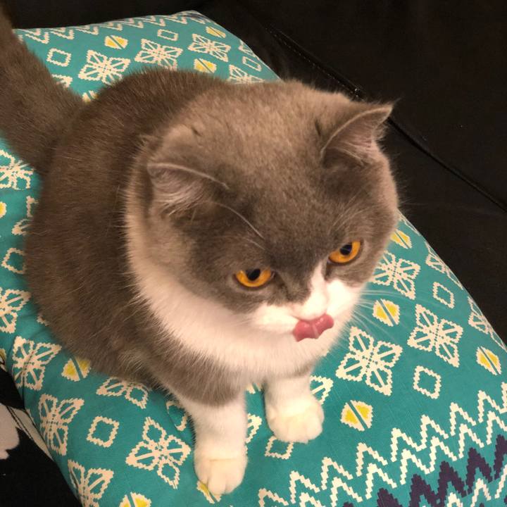 Bc73cc73 6611 47f7 8968 d49969ec6a90 1559026921062