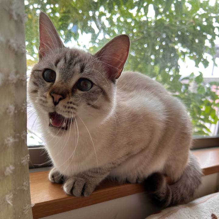 Bc73f218 0448 480e ac47 767fbdecdb94 1734310792631