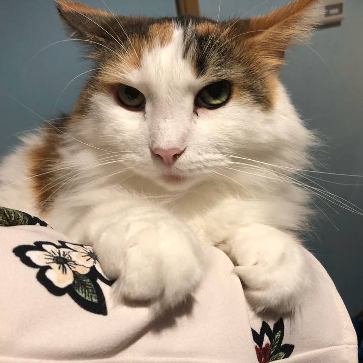 Bc741df7 05cd 4791 a067 636644b83cbb 1567385786913