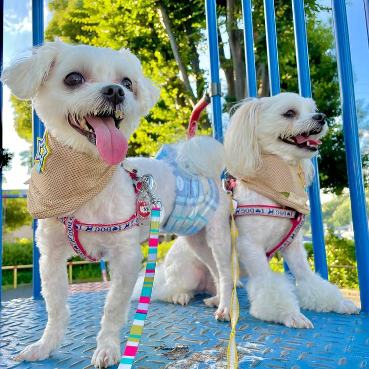 Bc742e49 469b 4262 aeb3 5363e73e5762 1627097592607