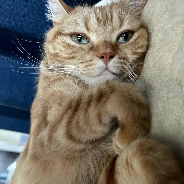 Bc74bff8 2a3c 4b7d be07 fa3f9f597f60 1689295176858