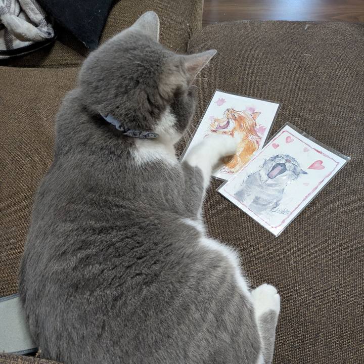 Bc74e8bf 801d 4511 88de 42ef5769a639 1750065691344