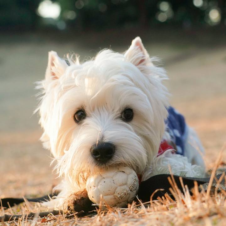 Bc754534 0c21 4d85 b41e 4bd007a6aa3e 1515657977320