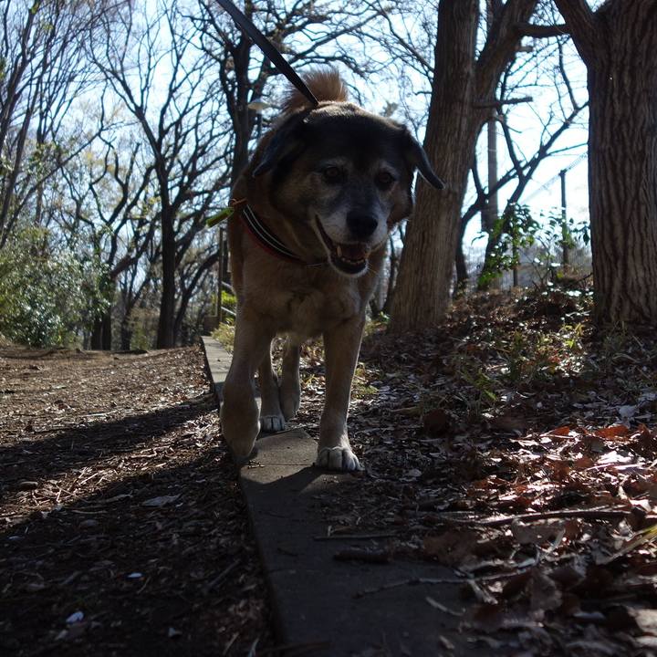 Bc759ce1 163d 4761 a490 e7f9d192109b 1554252090498