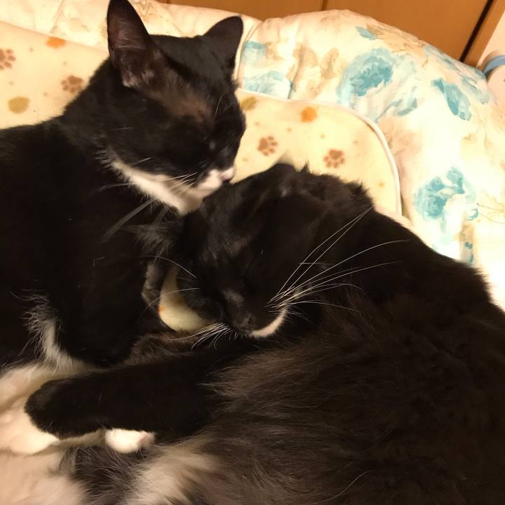 Bc7653a0 29ea 44d6 9063 722303cb015d 1540251128581