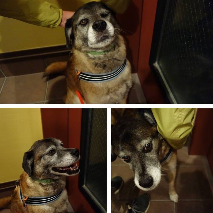 Bc76e012 52f8 479c 90cd c21234939f42 1522495313024