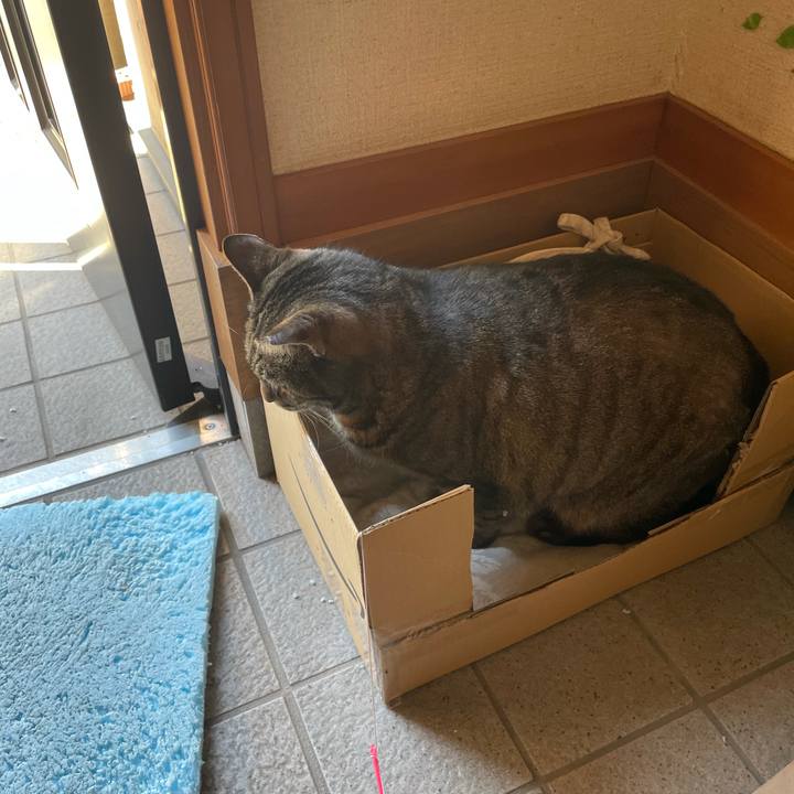 Bc770975 90e2 4317 9548 8fdc73397e69 1611976878523