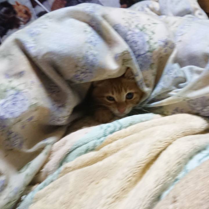 Bc7763cf 5bbf 4d8d af1c 661cb899bedb 1631998101251