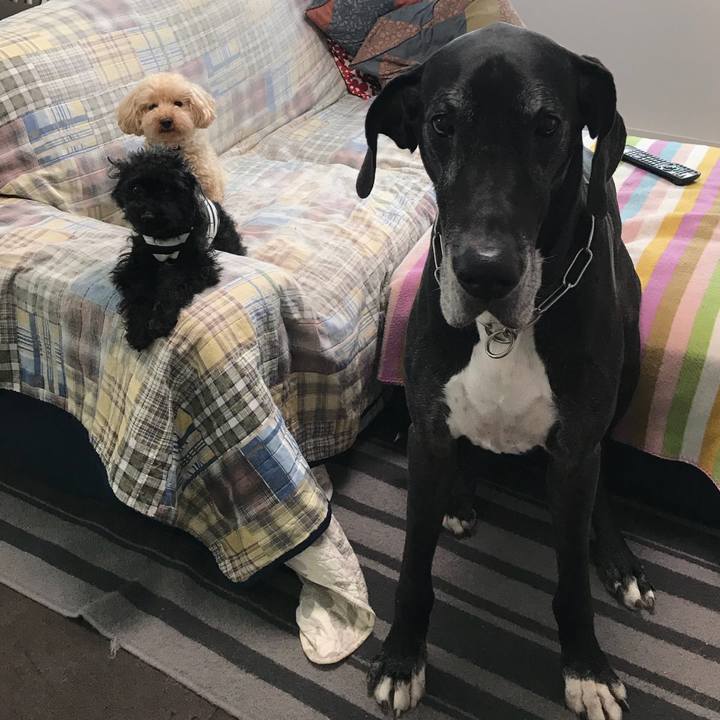 Bc7784e1 aa75 410f 9287 e4b863a55b01 1529361280619