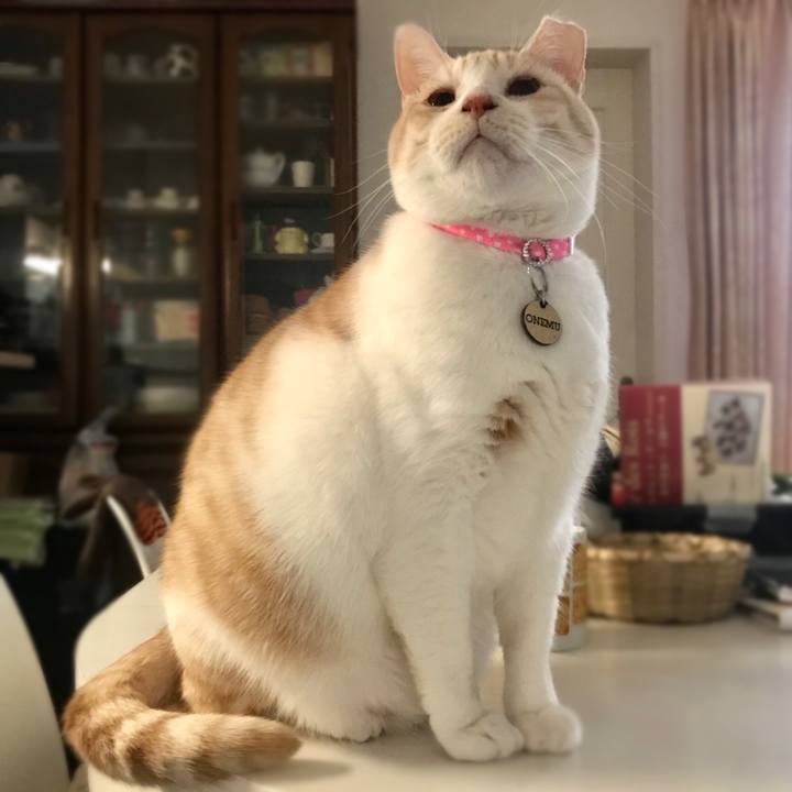 Bc77c4e0 f861 4aa7 8704 25e60d8eae77 1578487805136