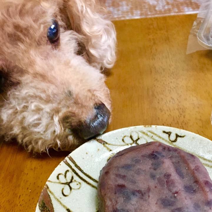 Bc782b50 295b 4069 b55c 781d869d7db5 1537696934579