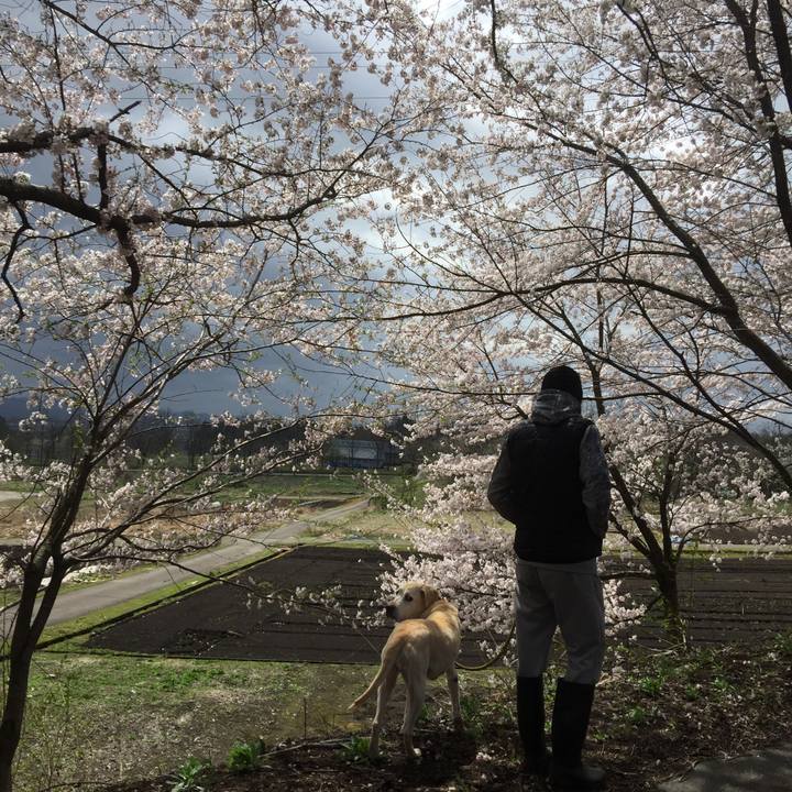 Bc785ed8 a366 44c5 9e36 91581d35a361 1549881964813