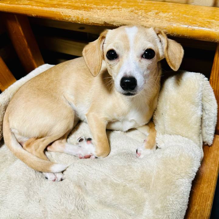 Bc7867e0 ed7c 42ac b10e 9d5ac1067e21 1676156283255