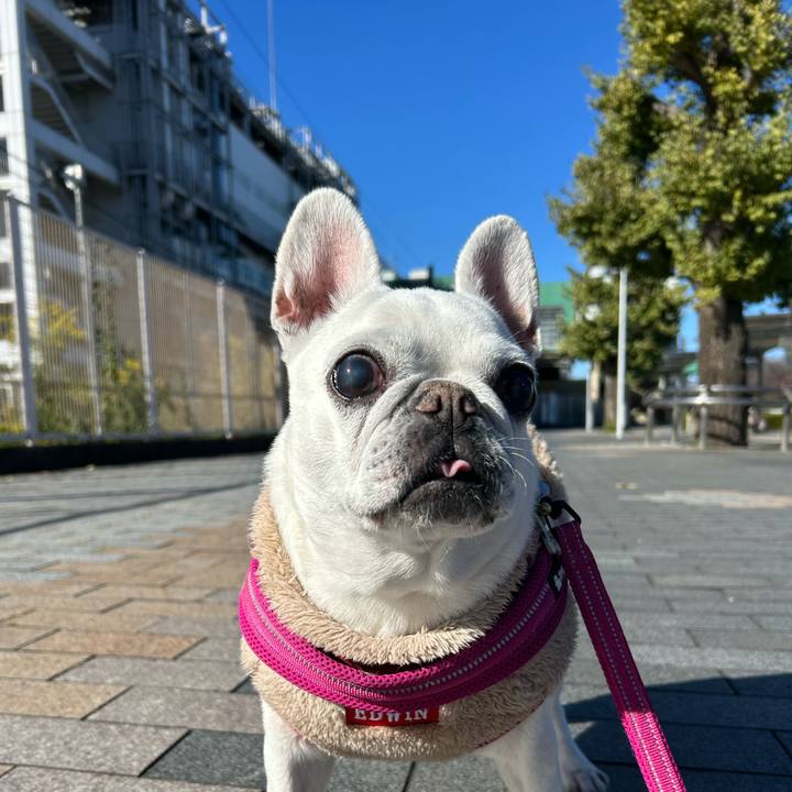 Bc7871be 5d5a 4f3a b635 8352cf751f33 1732937192537