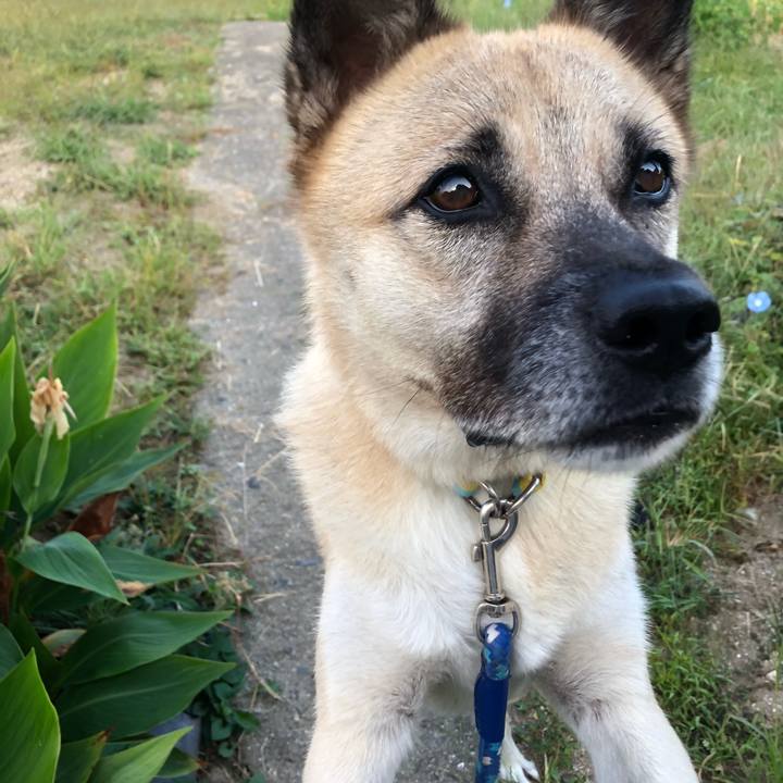 Bc78a1c1 a184 4487 baed 35dc45d20b7c 1633608523619