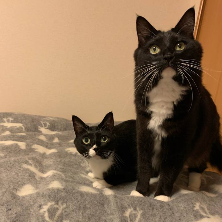 Bc78a39f d2a9 4a9c 80b4 953bff7eadc5 1573010879031