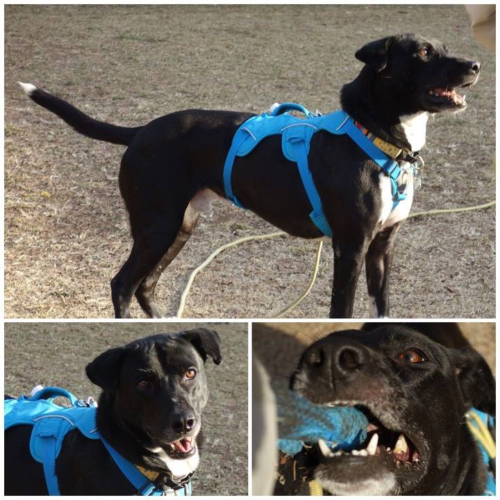 Bc78b2a3 4a10 47c8 b1e0 4aadfb48038d 1614386548031