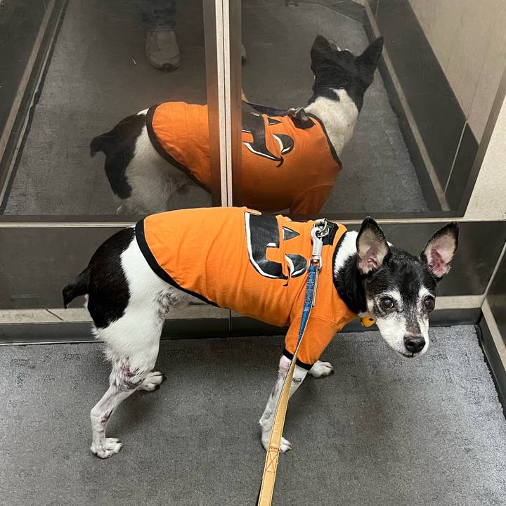 Bc78de28 23e2 402c 8452 7b3047441aca 1635676108796