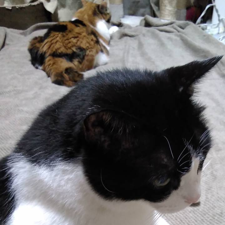 Bc78fc27 0982 43b7 8817 0342941cf0d0 1596546627179