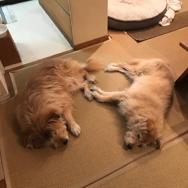 Bc7903a1 0772 4b00 9c13 3ad2b3cacdaf 1581331225073