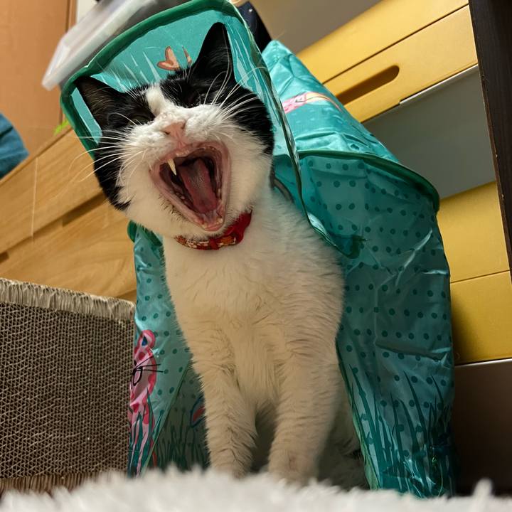 Bc7916db 4074 46fc 82b1 306405fc3044 1697421545071