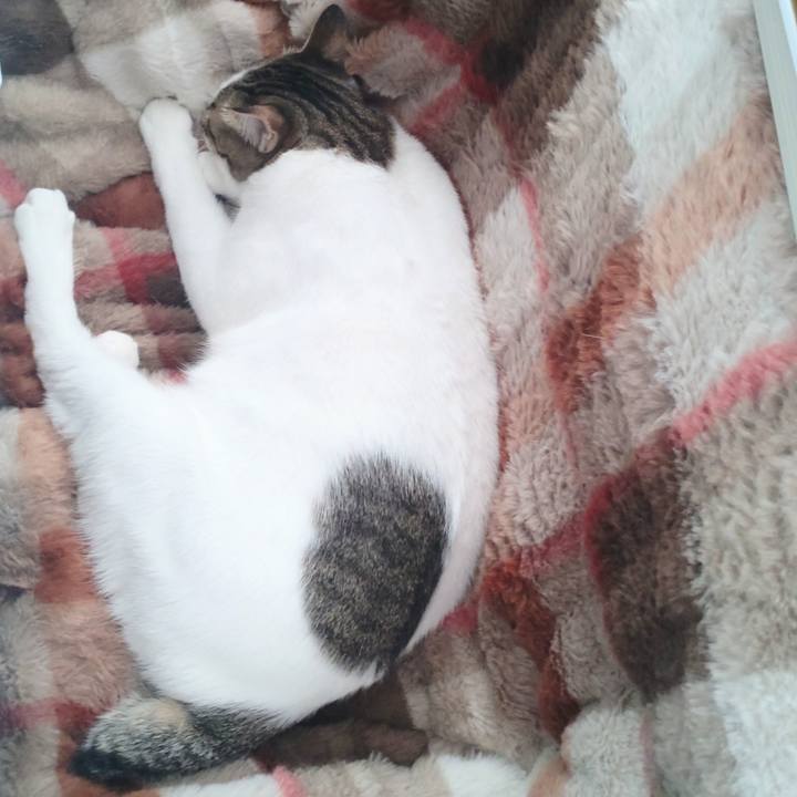 Bc79185b 4d22 4cd6 8ecb 01d4d033eba2 1710741047859