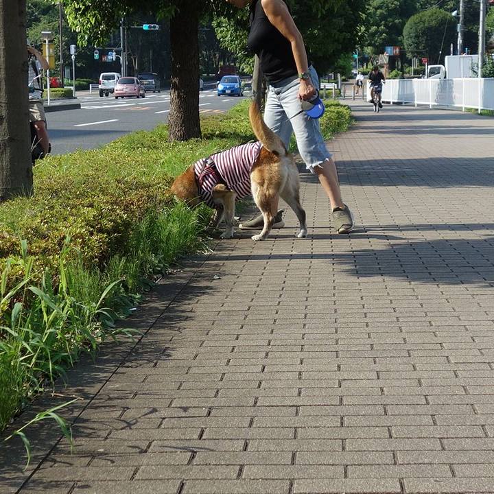 Bc79397a 2298 4831 a7af e8d07d9e2610 1642295123264