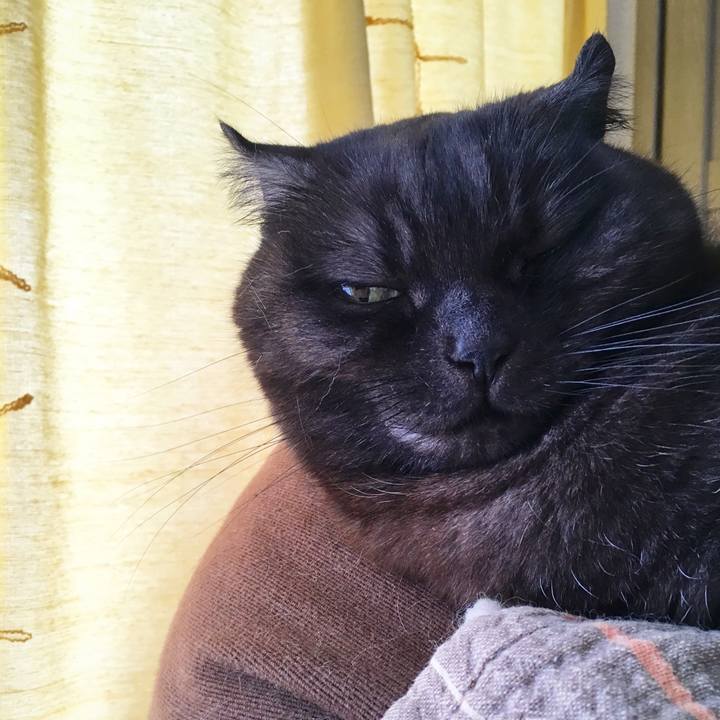 Bc793aa0 1324 4d92 8614 908c322e6ccf 1555816625123