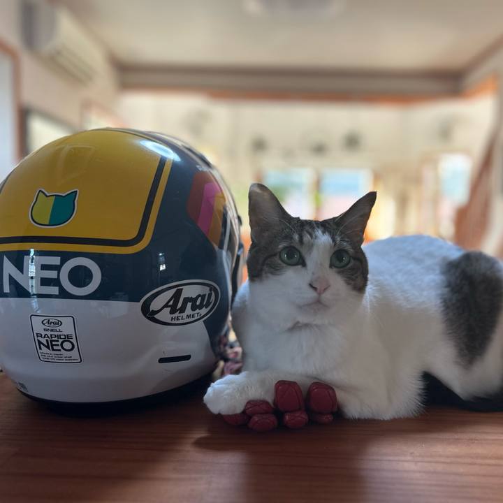 Bc79446c f425 4e02 9c4b 6ce5576c5d07 1680391262357