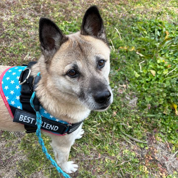 Bc795296 8fa1 4b53 a08b cf2ee22f4897 1737116658969