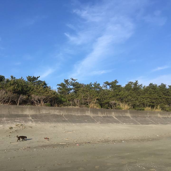 Bc795927 87c4 42d0 9e98 403baf15f43e 1527847653743