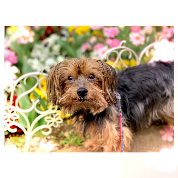 Bc795a34 c9b8 416a 980d c127828d0b0f 1553036572562