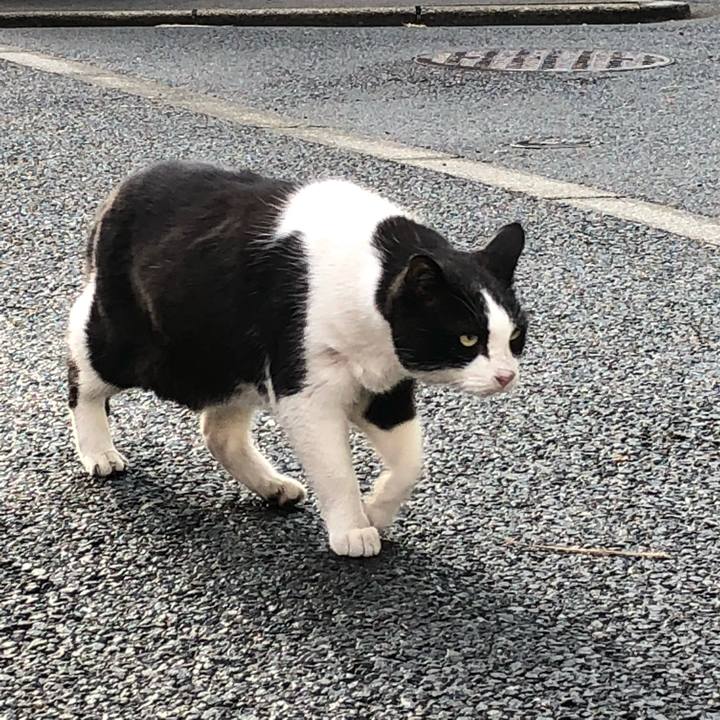 Bc7974ce 0ee5 4f6a bf0b 5db3fd6fb524 1514751817157