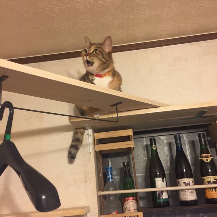 Bc7976c0 4a03 423c 8d00 d4f6be7250a9 1559826819589