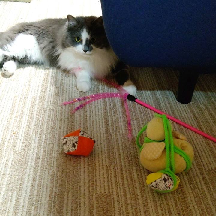 Bc79859c 7090 4d70 8b5a 924ea6570d0a 1618396886875