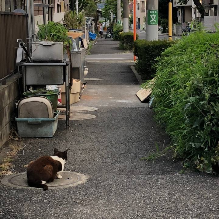 Bc799246 29e8 4911 bb2f c605d742531f 1558367332293