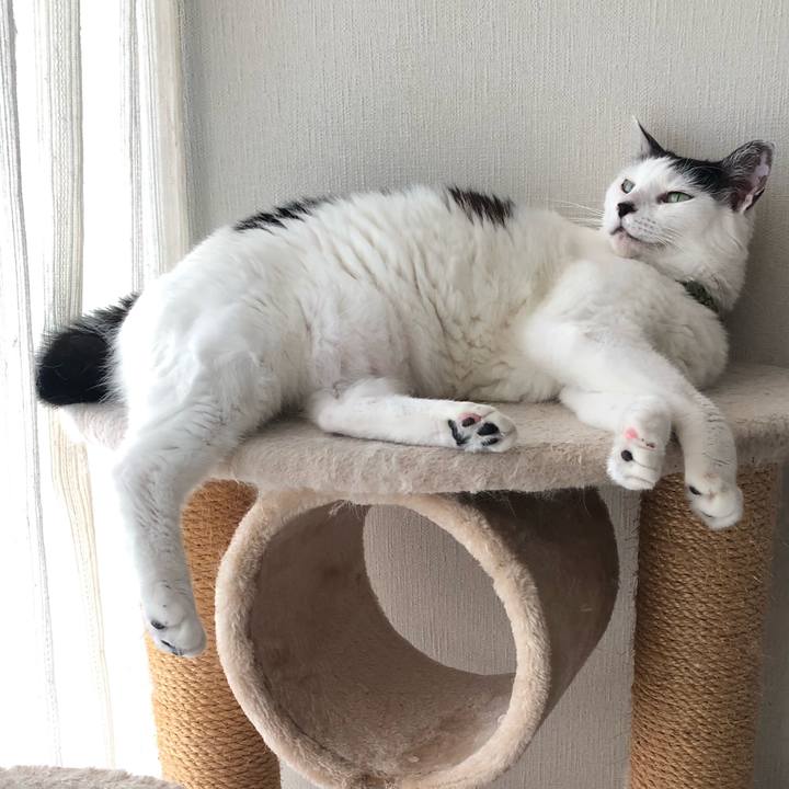 Bc79b6c5 55de 4049 a5c4 c6c92779d71b 1565257657153