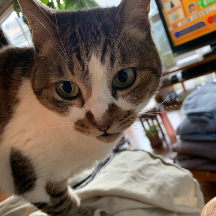 Bc79c55a 840d 4806 ac60 104137a0884e 1677545724721