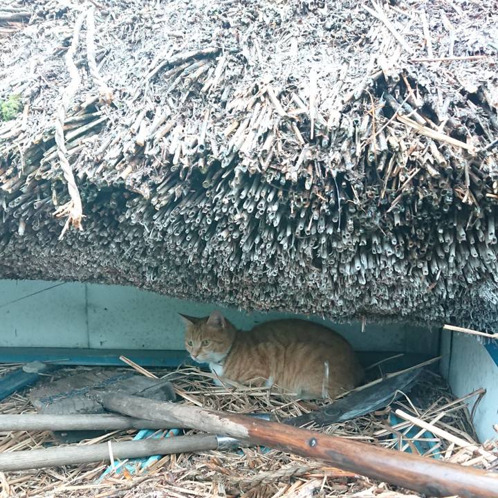 Bc79e1ab 2295 4e22 9fb1 26be1df97b33 1594450304402